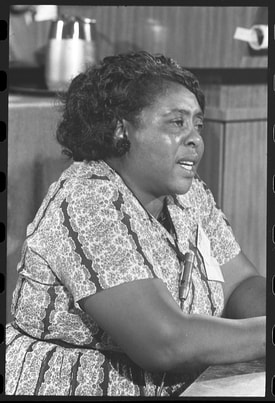 Fannie Lou Hamer during testimony to congress
